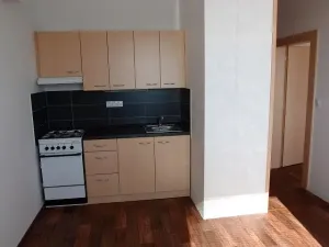 Pronájem bytu 1+1, Pardubice - Cihelna, U Josefa, 42 m2