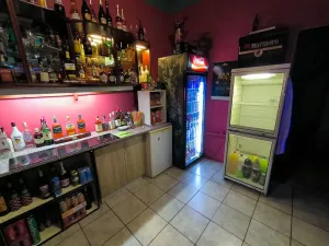 Pronájem restaurace, Ústí nad Labem, Seifertova, 160 m2
