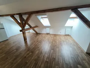 Pronájem bytu 1+kk, Ústí nad Labem, Londýnská, 52 m2