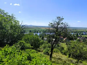 Prodej zahrady, Žalhostice, 4185 m2