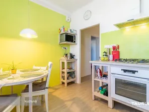 Pronájem bytu 2+1, Plzeň, Brojova, 55 m2