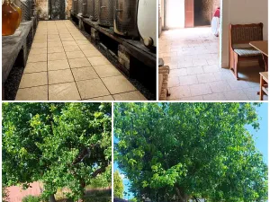 Prodej rodinného domu, Hovorany, 220 m2