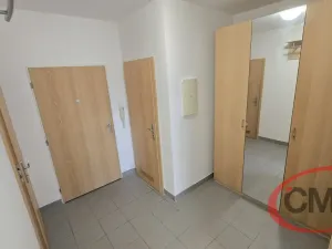 Pronájem bytu 2+kk, Praha, Černochova, 48 m2