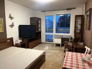 Pronájem bytu 1+kk, Světlá nad Sázavou, Jelenova, 33 m2
