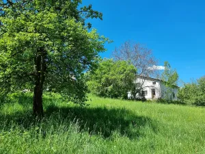 Prodej rodinného domu, Jenišovice, 283 m2