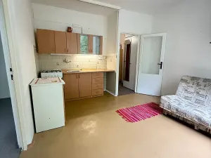 Prodej bytu 2+kk, Liberec, Mlýnská, 33 m2