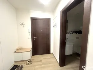 Pronájem bytu 2+kk, Olomouc, Třída Jiřího Pelikána, 52 m2