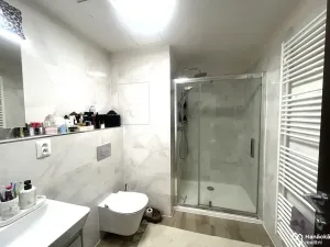 Pronájem bytu 2+kk, Olomouc, Třída Jiřího Pelikána, 52 m2
