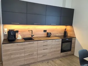 Pronájem bytu 2+kk, Loučná pod Klínovcem, 56 m2
