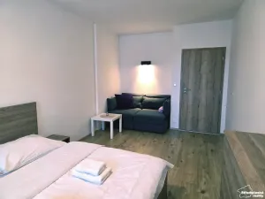 Pronájem bytu 2+kk, Loučná pod Klínovcem, 56 m2