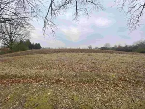 Dražba pozemku, Drahonice, 2121 m2