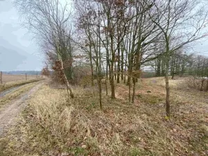 Dražba pozemku, Drahonice, 2121 m2