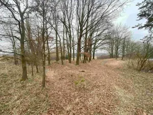Dražba pozemku, Drahonice, 2121 m2