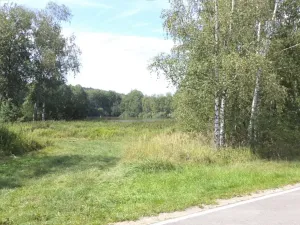 Dražba louky, Čejetice, 620 m2