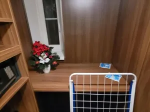 Pronájem bytu 3+kk, Praha - Vršovice, Bulharská, 55 m2
