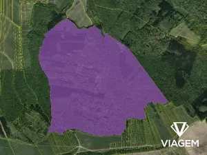 Prodej podílu lesa, Korytná, 46570 m2