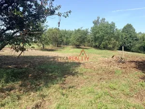 Prodej pozemku pro bydlení, Černíkovice, 2335 m2