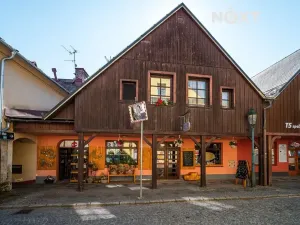 Prodej obchodního prostoru, Vrchlabí, Zámecká, 300 m2