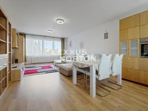 Pronájem bytu 3+kk, Praha - Záběhlice, Švehlova, 90 m2