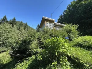 Prodej chaty, Ostravice, 55 m2
