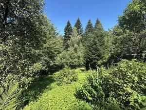 Prodej chaty, Ostravice, 55 m2