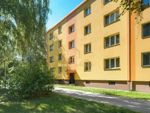 Pronájem bytu 3+1, Ostrava, Adamusova, 55 m2