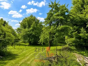 Prodej pozemku pro bydlení, Frýdlant nad Ostravicí, 1781 m2