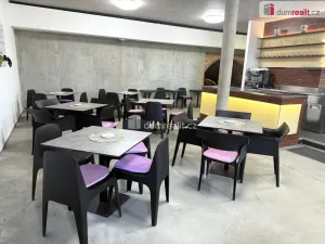 Prodej komerční nemovitosti, Pavlov, Česká, 264 m2