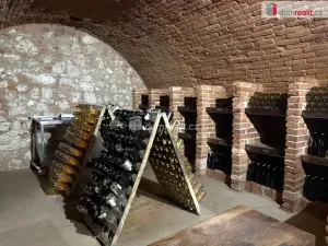 Prodej komerční nemovitosti, Pavlov, Česká, 264 m2