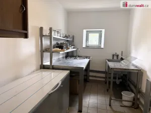 Prodej komerční nemovitosti, Pavlov, Česká, 264 m2