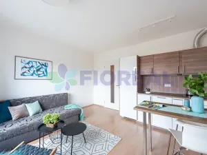 Pronájem bytu 1+kk, Praha - Motol, Plzeňská, 28 m2