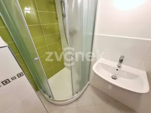 Pronájem bytu 1+kk, Zlín, Švermova, 30 m2