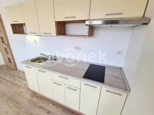 Pronájem bytu 1+kk, Zlín, Švermova, 30 m2