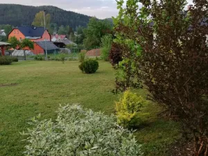 Prodej pozemku pro bydlení, Rotava, 919 m2