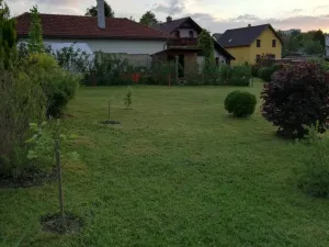 Prodej pozemku pro bydlení, Rotava, 919 m2