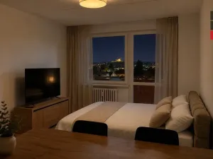 Pronájem bytu 1+kk, Pardubice - Ohrazenice, Trnovská, 33 m2