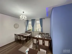 Prodej komerční nemovitosti, Ostrava, 28. října, 334 m2