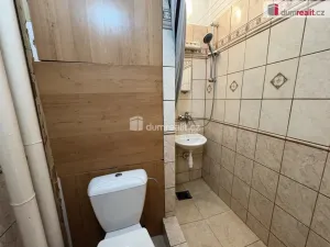 Pronájem bytu 1+kk, Příbram - Příbram I, Riegrova, 23 m2