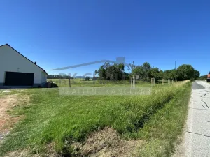 Prodej pozemku pro bydlení, Mahouš, 3847 m2