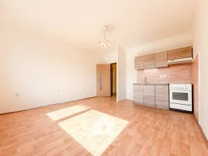 Prodej bytu 2+kk, Ústí nad Labem, Na Kohoutě, 42 m2