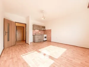 Prodej bytu 2+kk, Ústí nad Labem, Na Kohoutě, 42 m2