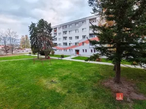 Pronájem bytu 3+1, Duchcov, V Domkách, 70 m2