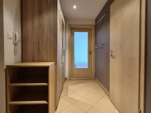 Pronájem bytu 1+kk, České Budějovice - České Budějovice 7, 46 m2