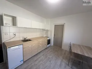 Pronájem bytu 1+1, Peruc, V Edenu, 44 m2