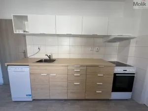 Pronájem bytu 1+1, Peruc, V Edenu, 44 m2