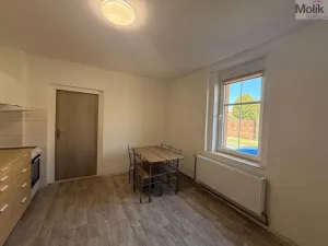 Pronájem bytu 1+1, Peruc, V Edenu, 44 m2