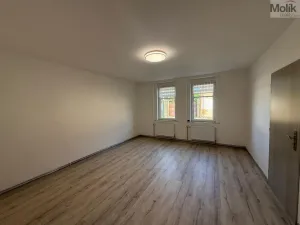 Pronájem bytu 1+1, Peruc, V Edenu, 44 m2