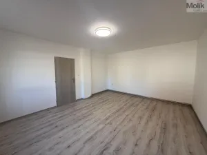Pronájem bytu 1+1, Peruc, V Edenu, 44 m2