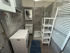 Pronájem bytu 1+1, Peruc, V Edenu, 44 m2