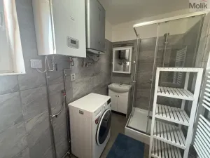 Pronájem bytu 1+1, Peruc, V Edenu, 44 m2